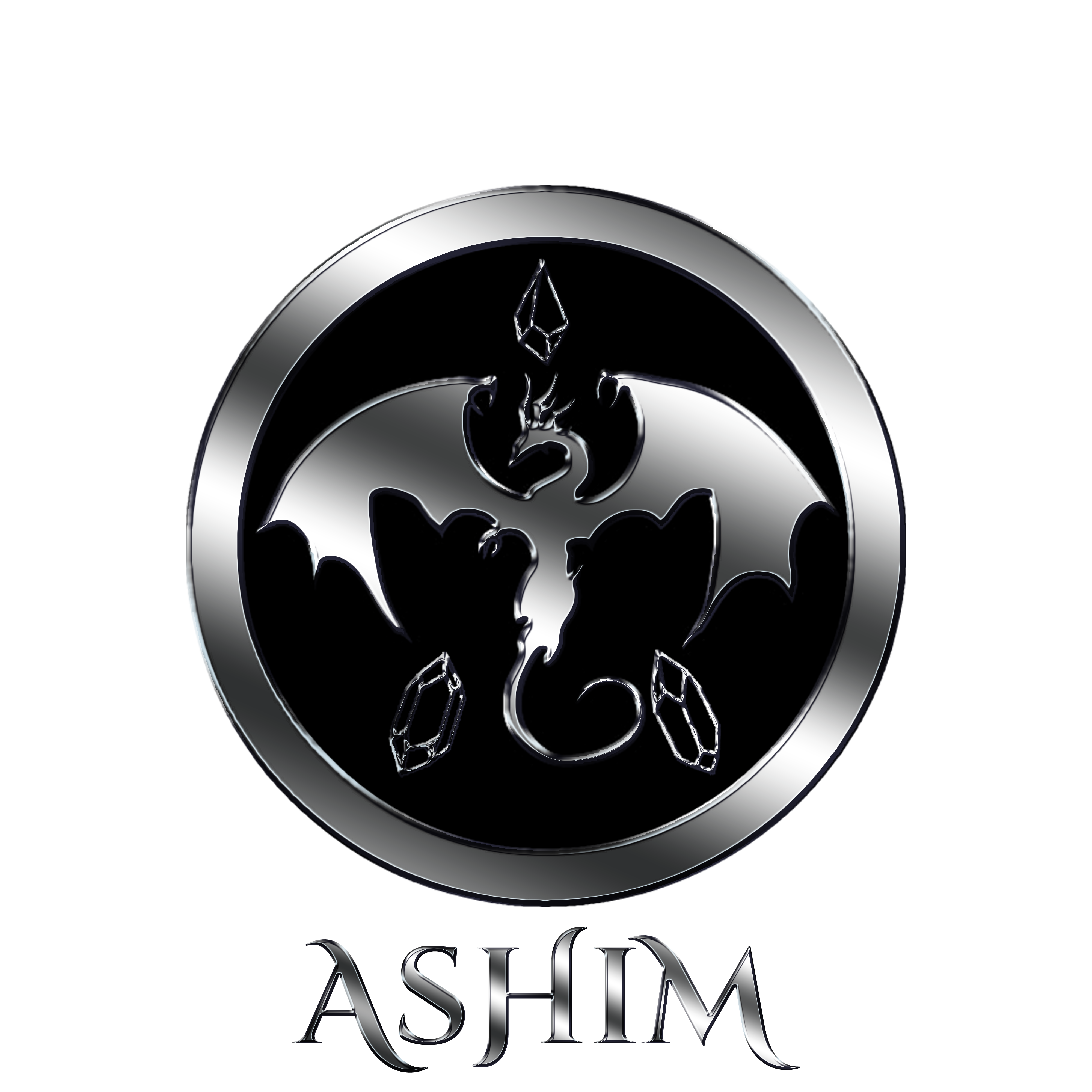 logo ashim